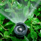 Rod's Sprinkler Solutions