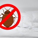 Houston Bed Bug Heat Treatment - Pest Control Services