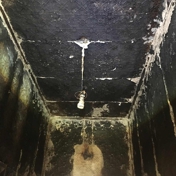 Gallery Image Number 5