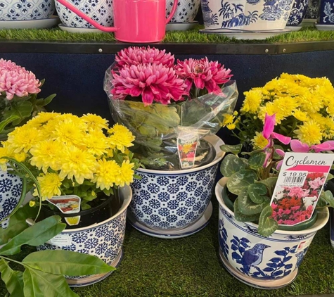 Highfields Garden Centre - Highfields, QLD