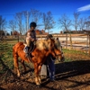 Horse Haven Farm, LLC gallery