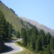 Gallery Image Number 2