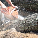 Clean Cuts Landscaping And Tree Care - Arborists