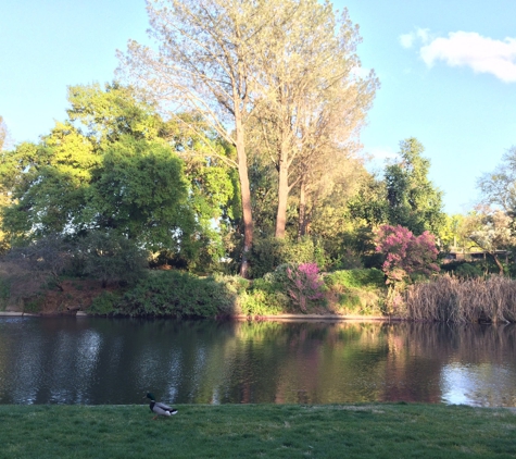 UC Davis Arboretum - Davis, CA