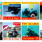 Dive On It Scuba