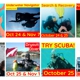 Dive On It Scuba