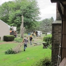 Woodeez Tree Service - Arborists