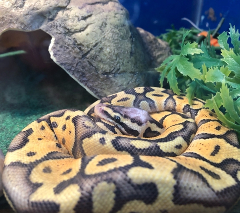 Tropical World Pets - Saint Louis, MO