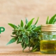 CBD Hemp Experts