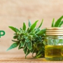 CBD Hemp Experts