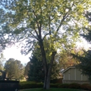 Artistic  Landscaping & Waterfall Design LLC - Arborists