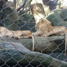 Siegfried & Roy Theater