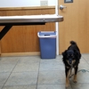 Millville Veterinary Clinic gallery