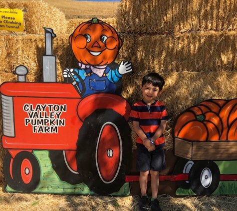 Clayton Valley Pumpkin Farm & Christmas Trees - Clayton, CA