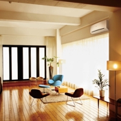 Gallery Image Number 4
