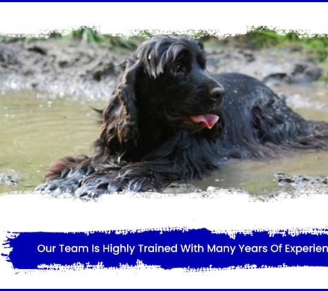 Howard Springs Veterinary Clinic - Howard Springs, NT. Our Team Is Highly Trained With Many Years Of Experience