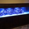 Tanks A Lot Aquariums Inc gallery