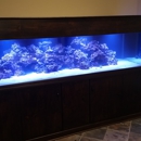 Tanks A Lot Aquariums Inc - Aquariums & Aquarium Supplies