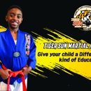 Tiger Sun Martial Arts - Martial Arts Instruction