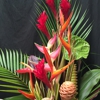 Hana Tropicals gallery