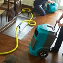 Tanin Carpet Cleaning Water - Water Damage Restoration