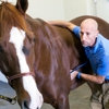 Carolina Equine Hospital gallery