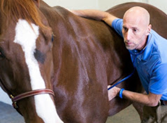 Carolina Equine Hospital - Browns Summit, NC