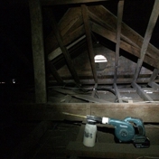 Gallery Image Number 7