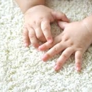 Organic Carpet Cleaning Chatsworth - Carpet & Rug Cleaners