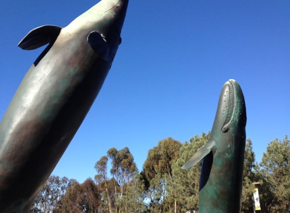 Birch Aquarium At Scripps - La Jolla, CA