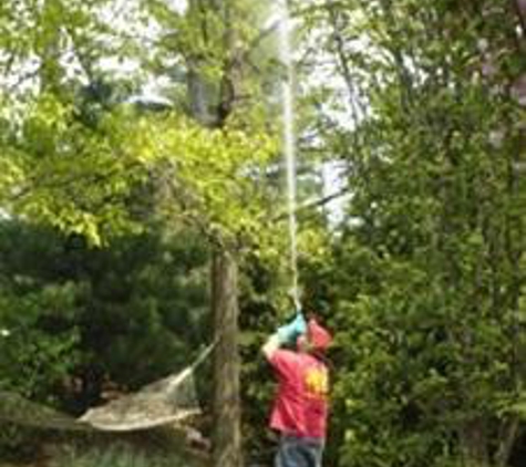 Dodge Tree Service - South Hamilton, MA