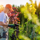 Seasons Property Maintenance