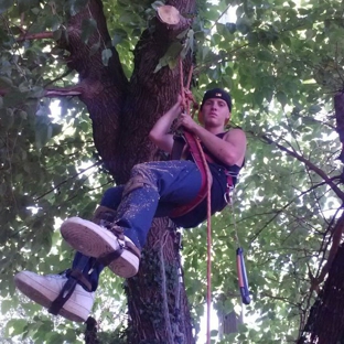 Gary's Complete Tree Service