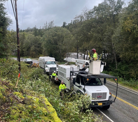 Carlos Tree Service Inc - Anchorage, AK