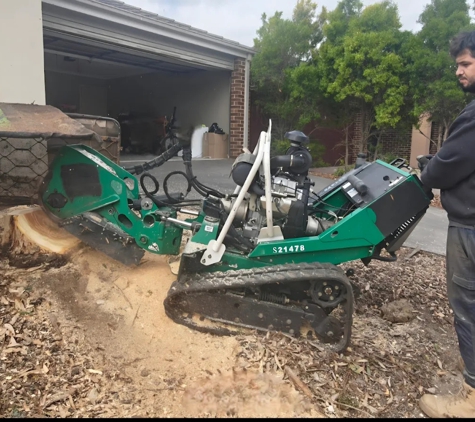No Trace Stump Removal - Rockbank, VIC
