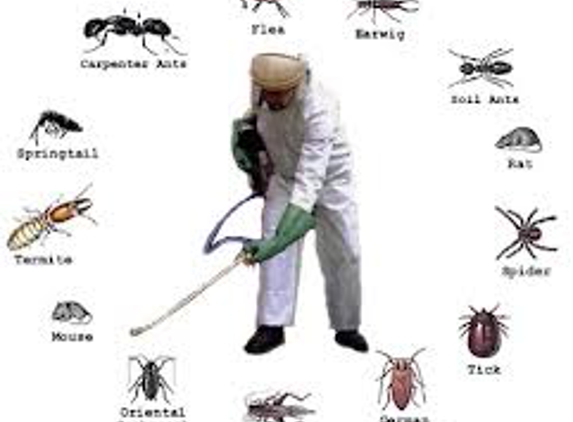 Ace Pest Control - Las Vegas, NV