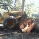 Northman Logging