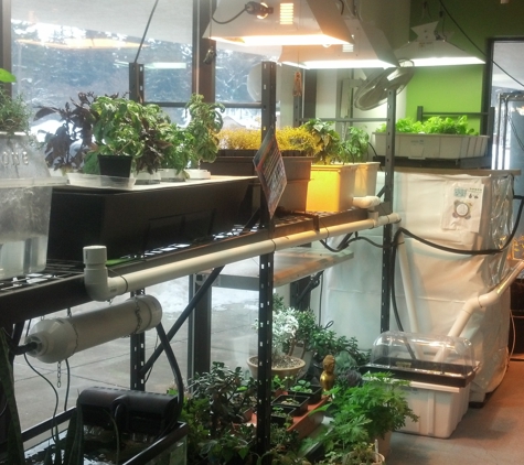 Horizen Hydroponics - Grand Rapids, MI