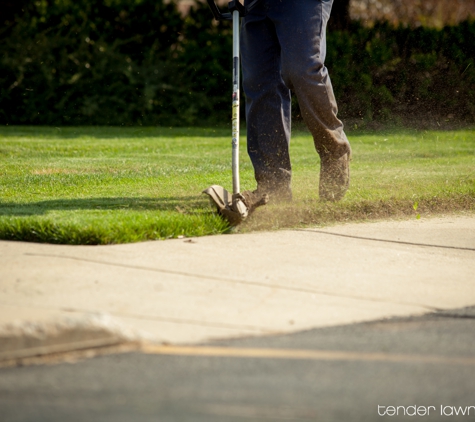 Tender Lawn Care - Grand Rapids, MI. Edging