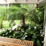 Tropical Tree Services