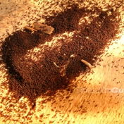 Gallery Image Number 5