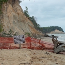 Calvert Cliffs State Park - State Parks