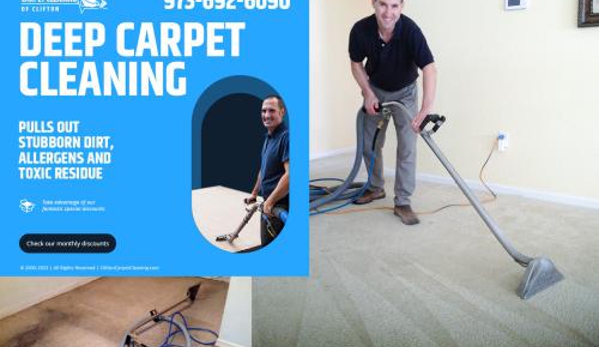 Tulip Carpet Cleaning of Arlington - Arlington, VA