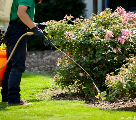 Tender Lawn Care - Grand Rapids, MI. Weed Control