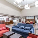 Comfort Suites West Omaha - Motels