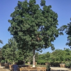 Moon Valley Nurseries - Glen Flora Farms