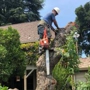 Sacramento Valley Tree Services, Inc.