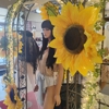 Sugarhouse Blue Boutique gallery