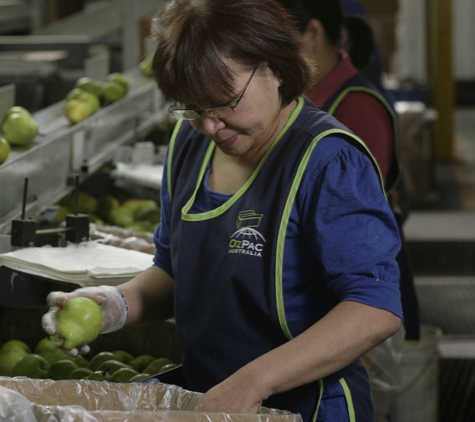 Recruitment Select - Shepparton, VIC
