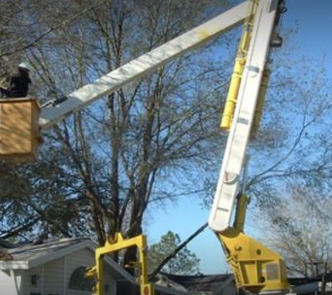 Mid-Florida Tree Service, Inc. - Thonotosassa, FL